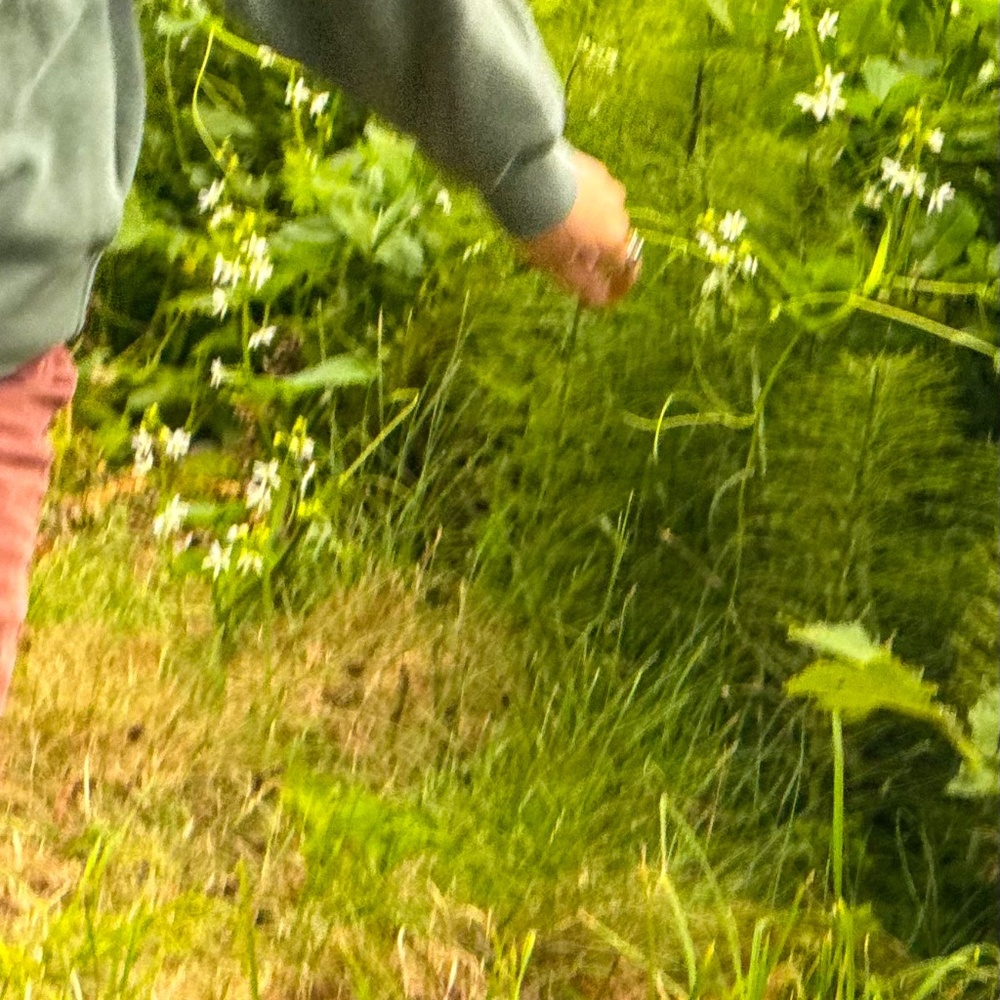 Meet your Posher, Danika